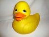 QE2010XXL Badeente _ Quitscheente gelb XXL ca_ 25 cm